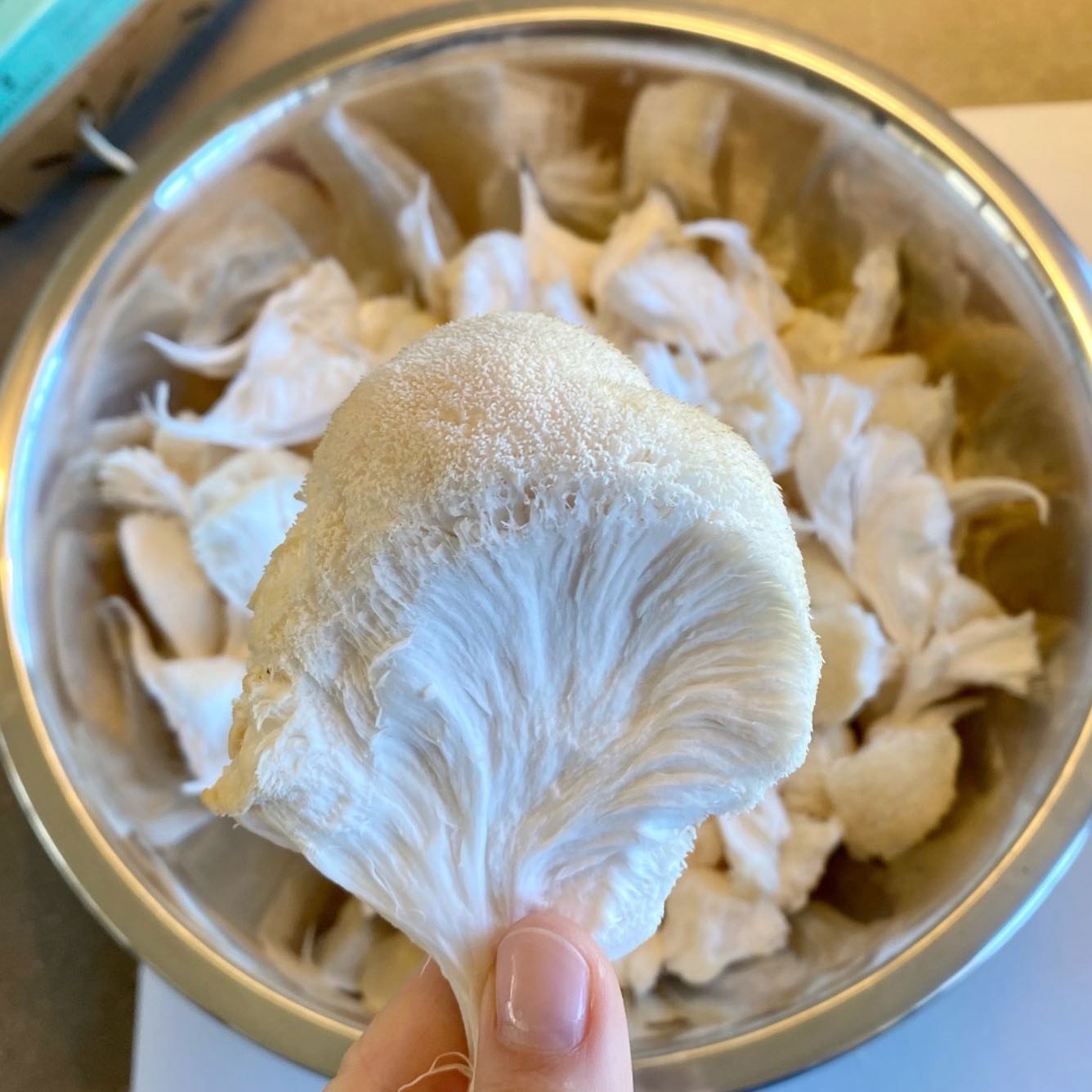 How to Cook Lion's Mane Mushroom