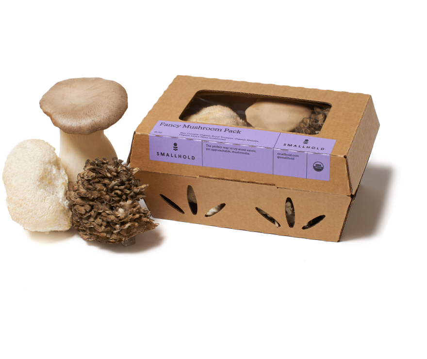 fancy mushroom pack with lion's mane, maitake and trumpet mushrooms